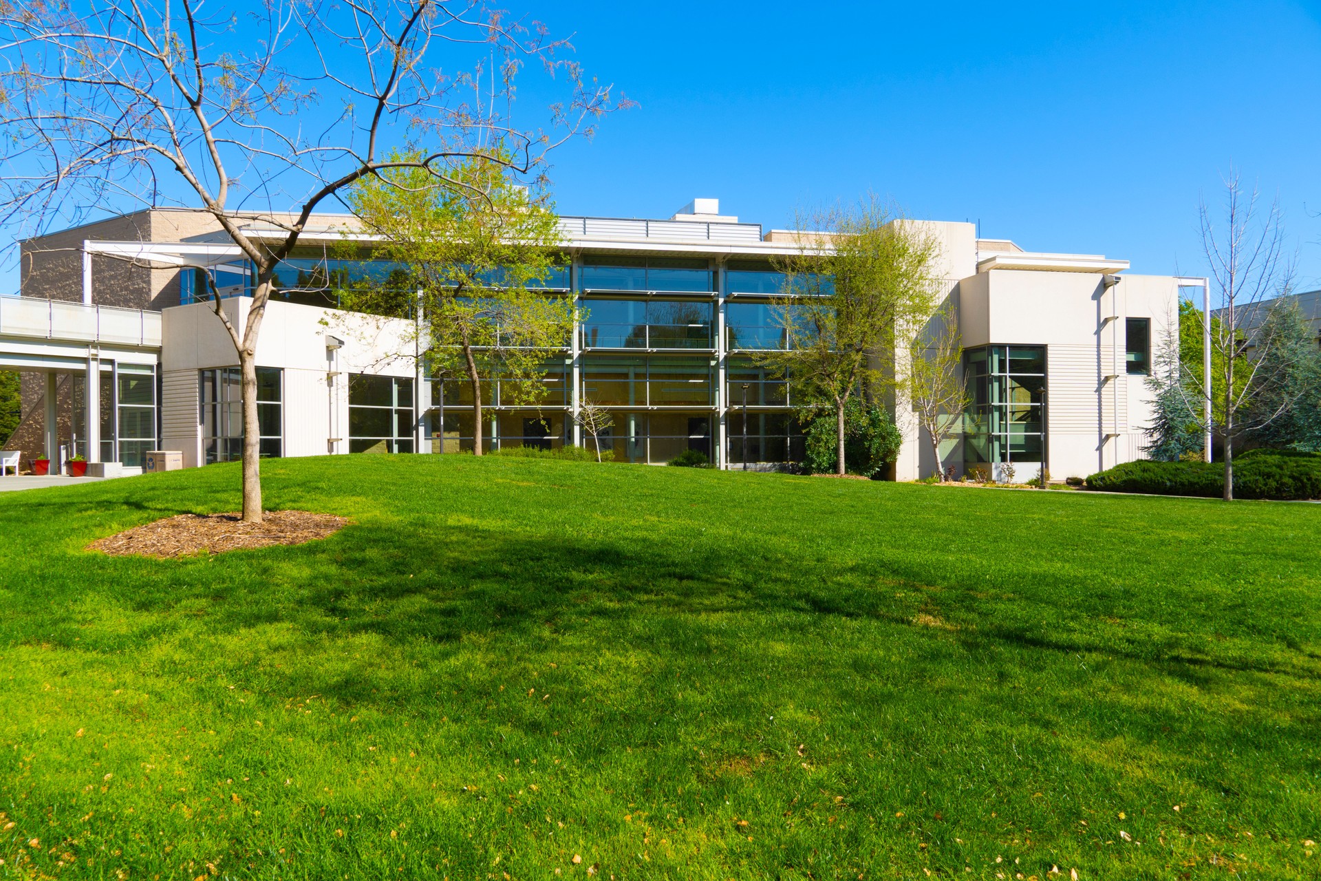 The campus of the University of California at Davis